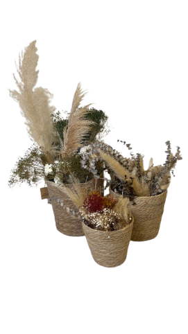 Cestos Palhinha